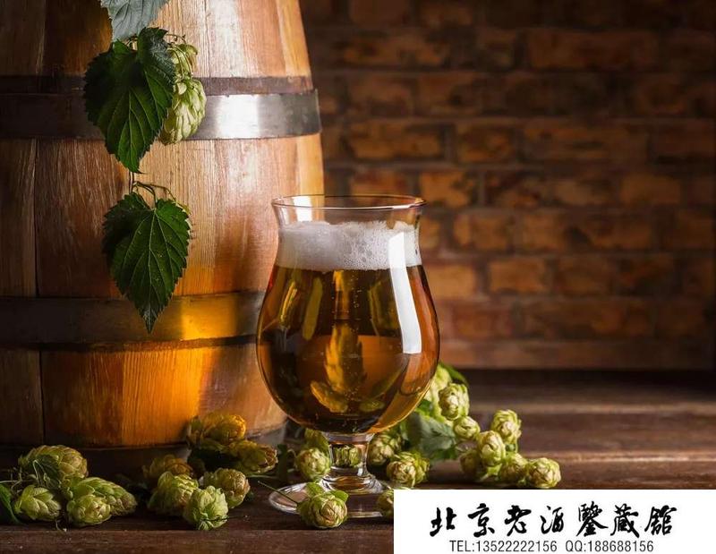 听酒花,识老酒.jpg